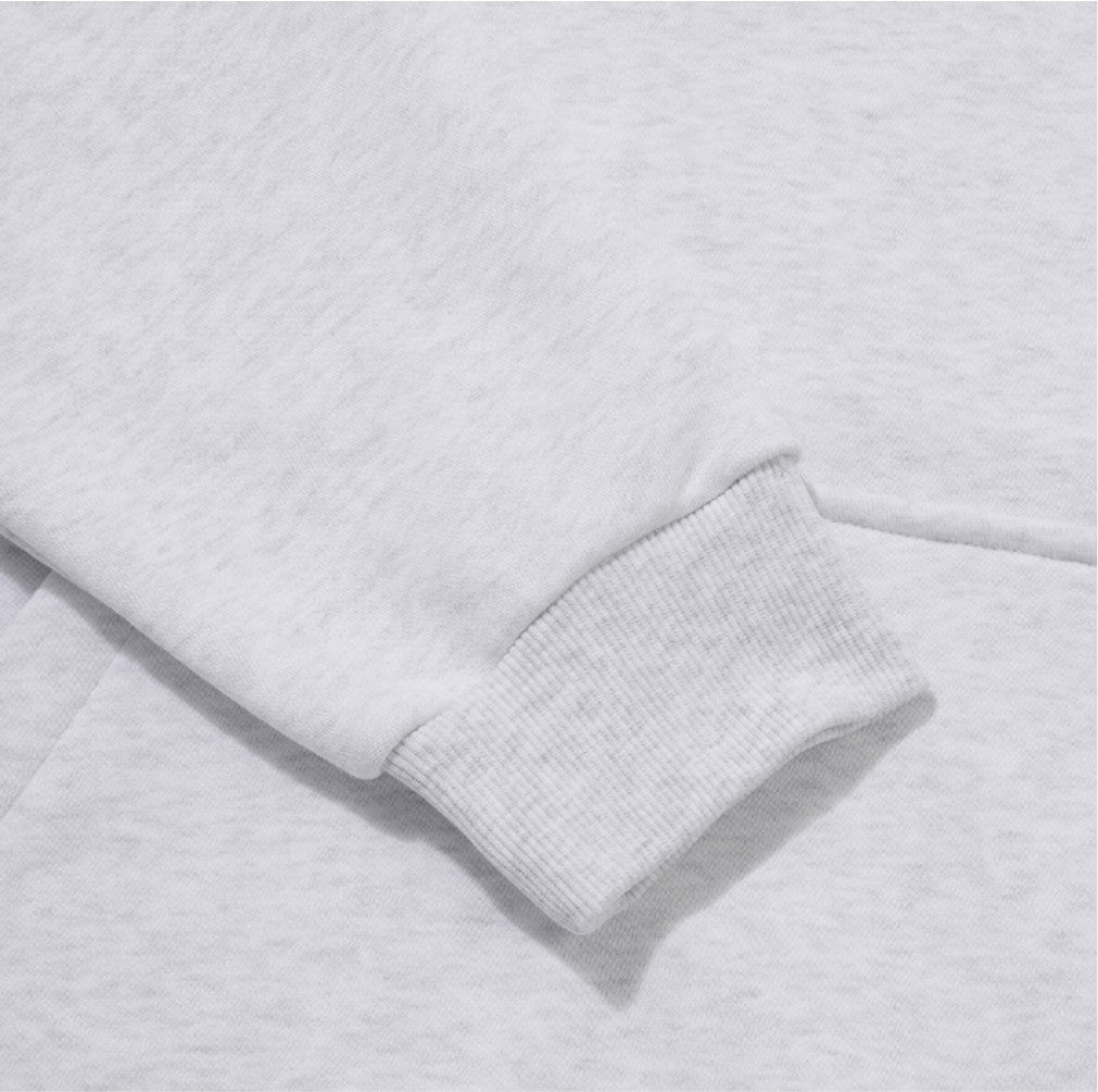 DESCENTE Sports Terry Graphic Hoodie T-Shirt SR323UHD81 LIGHT GREY ASIAN FIT