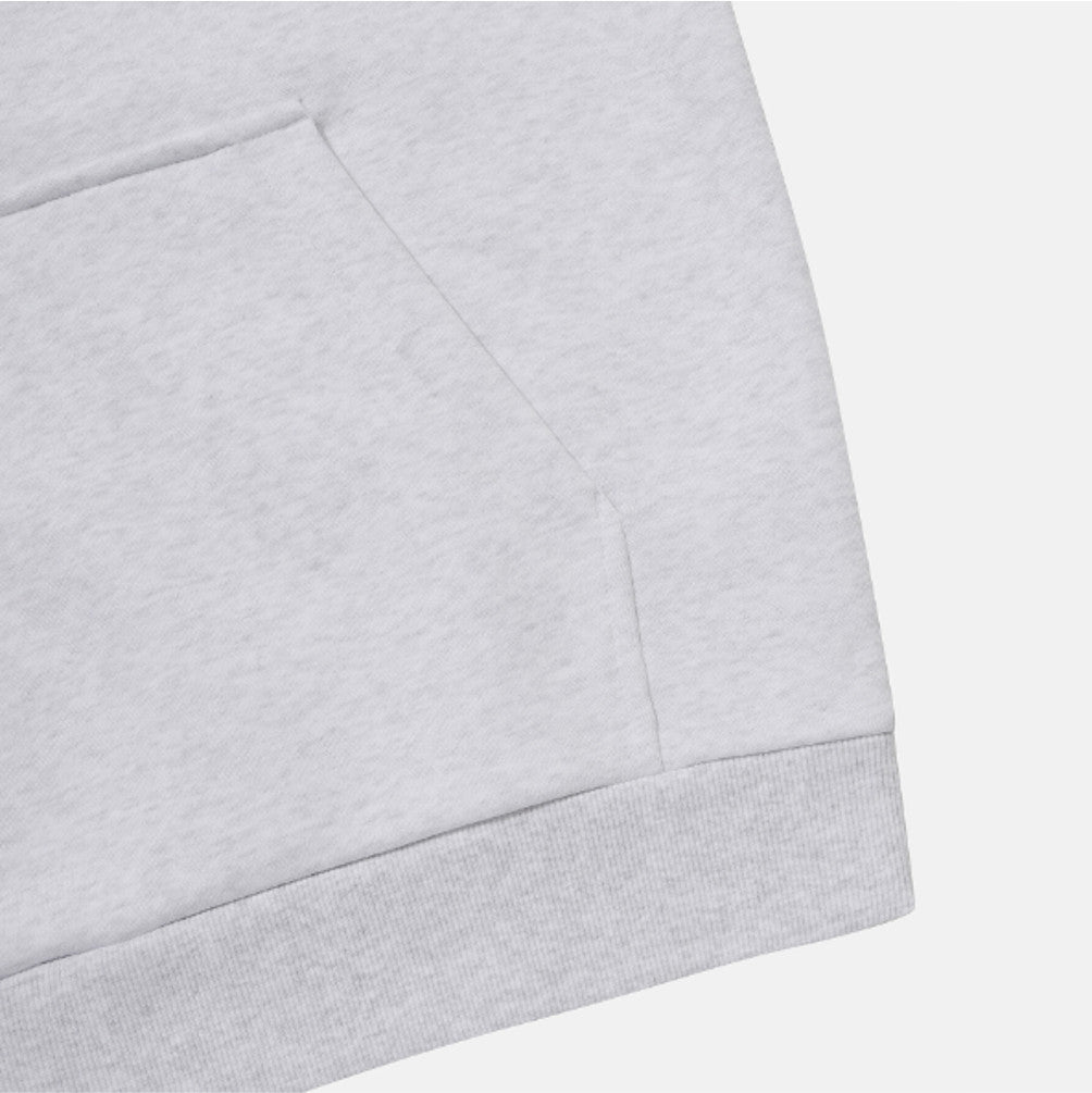 DESCENTE Sports Terry Graphic Hoodie T-Shirt SR323UHD81 LIGHT GREY ASIAN FIT